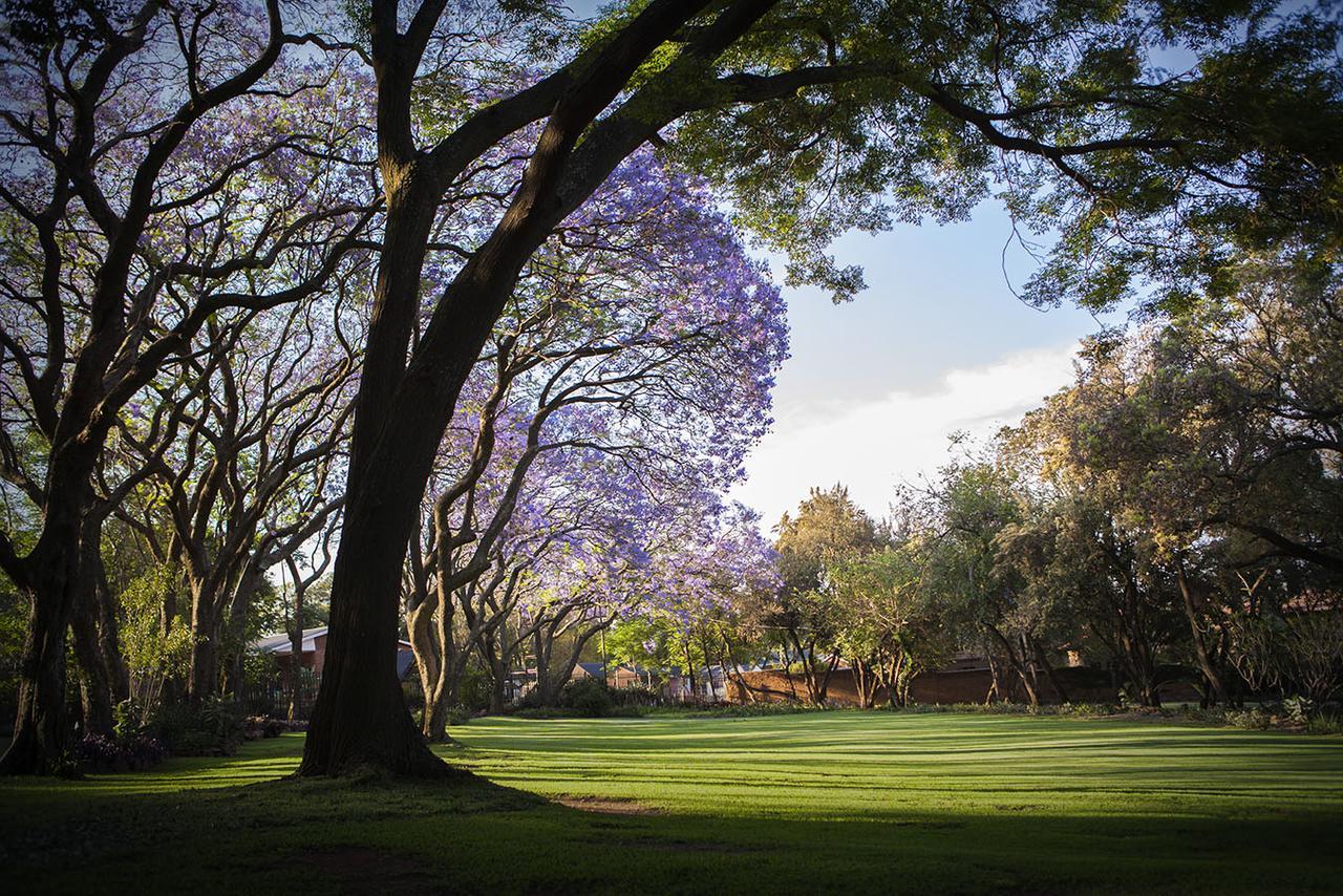 Pierneef'S Kraal Hotel พริทอเรีย ภายนอก รูปภาพ